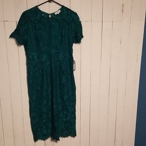 NSR Lace Dress